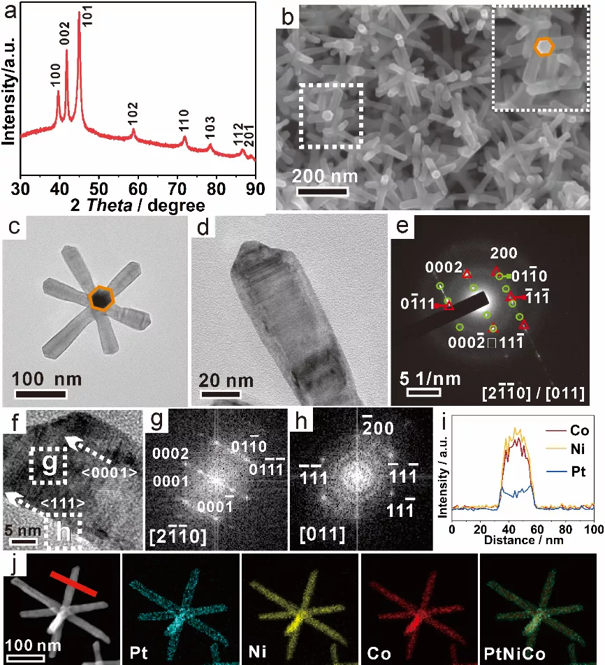 三元核-壳PtNiCo纳米枝晶结构表征 三元核-壳PtNiCo纳米枝晶结构表征