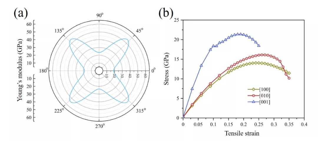 图2. Penta-oC36的力学性质分析