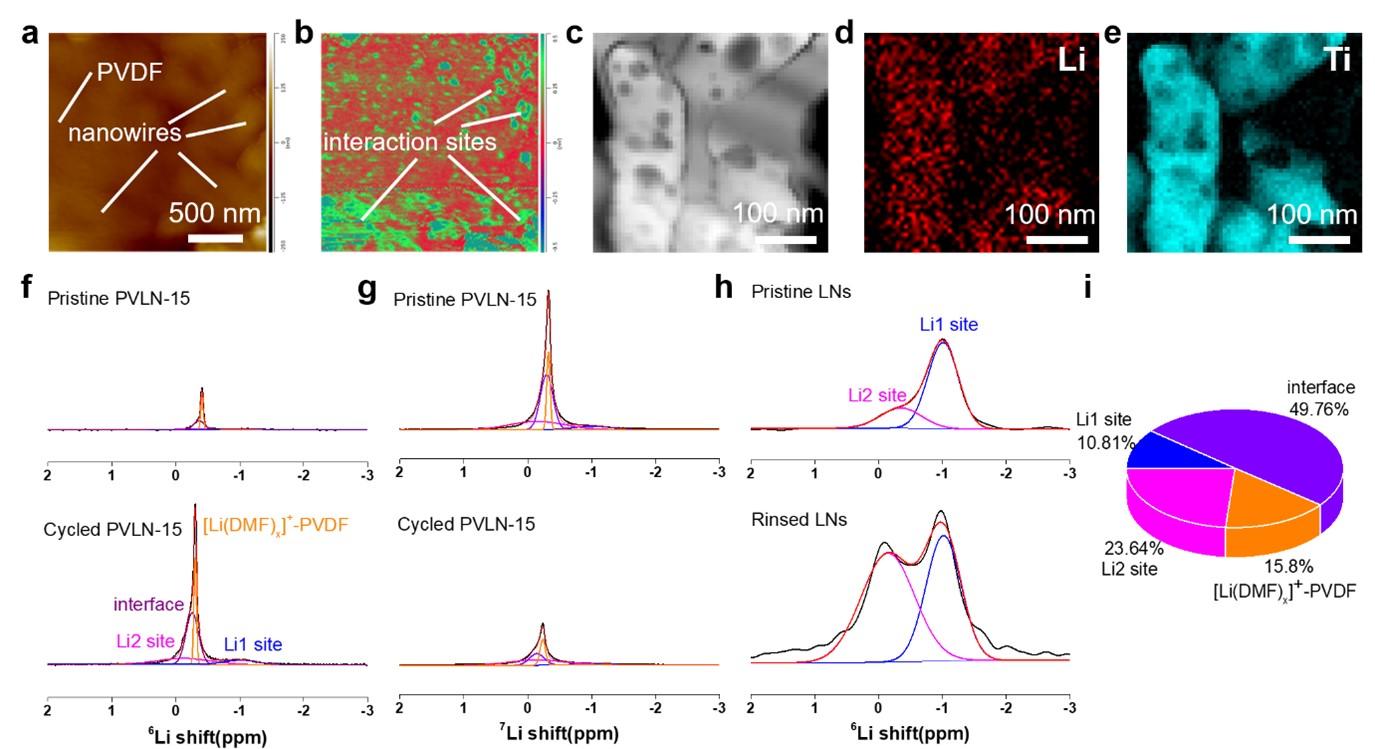 原子力显微镜-纳米红外光谱/电子能量损失谱分析PVLN复合固态电解质中LNs吸附[Li（DMF）x]+现象和固态核磁追踪锂同位素置换过程定量化研究离子输运机制