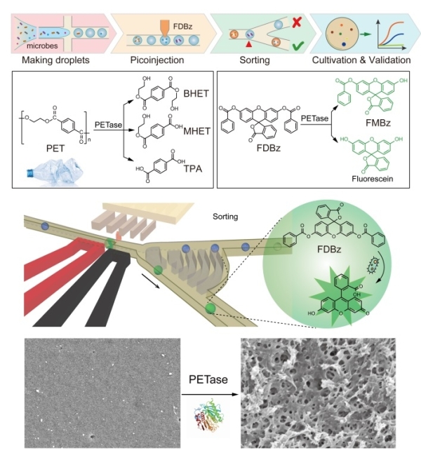 微流控高通量筛选塑料解聚酶研究获进展
