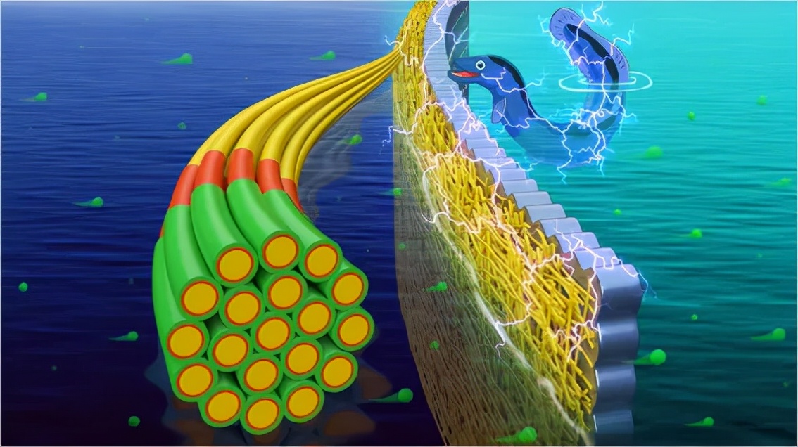在超组装纳米纤维超薄膜研究取得突破 在超组装纳米纤维超薄膜研究取得突破
