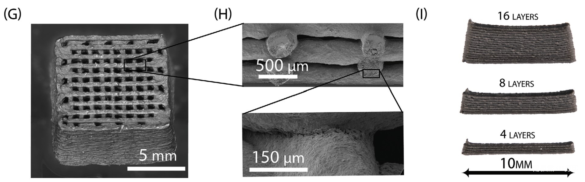 3D打印的高导电性桥接支架的图片