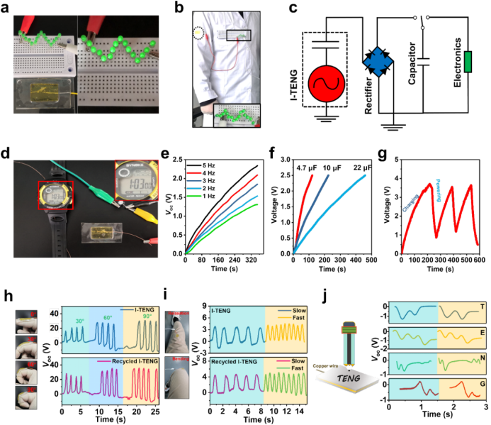 生物质小分子硫辛酸辅助纤维素熔融加工制备可回收离子凝胶 生物质小分子硫辛酸辅助纤维素熔融加工制备可回收离子凝胶