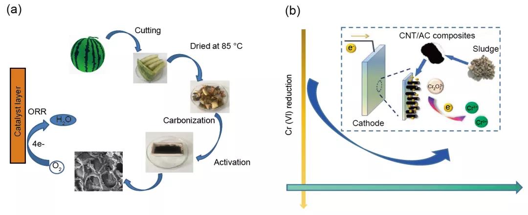 生物炭作为氧还原反应电催化剂在微生物燃料电池中的可持续性应用 生物炭作为氧还原反应电催化剂在微生物燃料电池中的可持续性应用