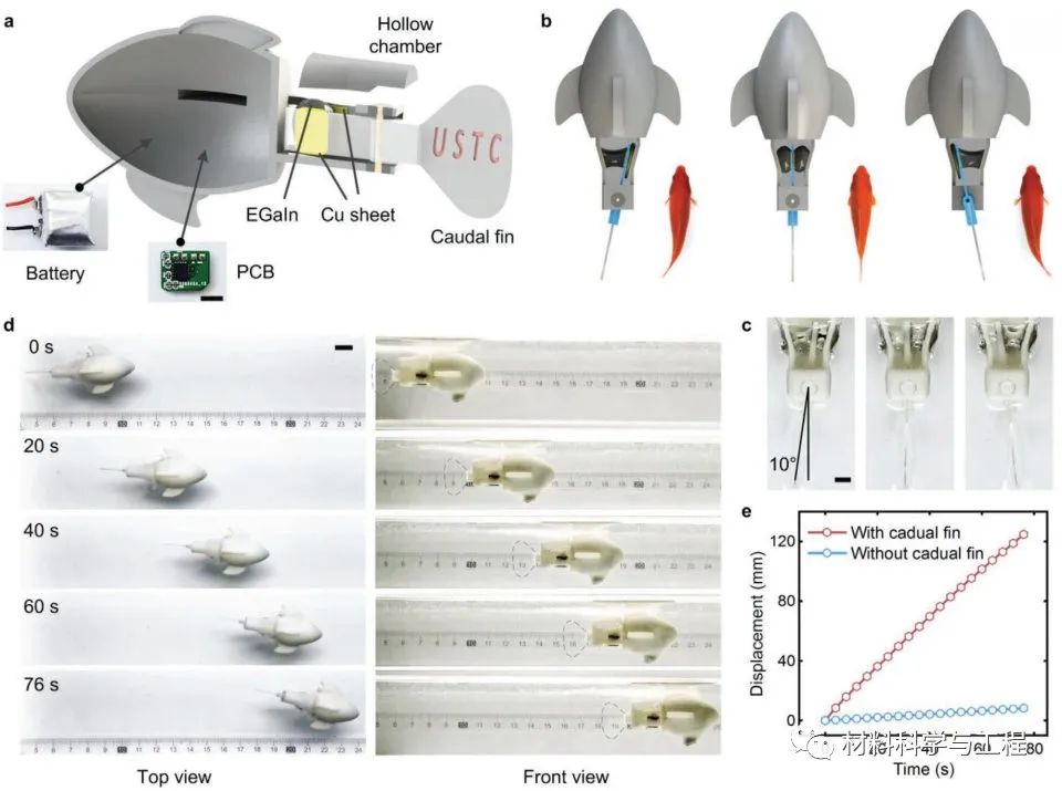图5. LMAM驱动单尾鳍仿生机器鱼游动的展示 图5. LMAM驱动单尾鳍仿生机器鱼游动的展示