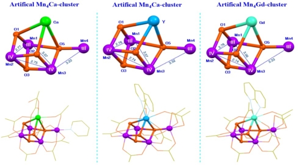 图1 三种仿生Mn4XO4-簇合物(X = Ca2+/Y3+/Gd3+)的核心和整体结构比较 图1 三种仿生Mn4XO4-簇合物(X = Ca2+/Y3+/Gd3+)的核心和整体结构比较