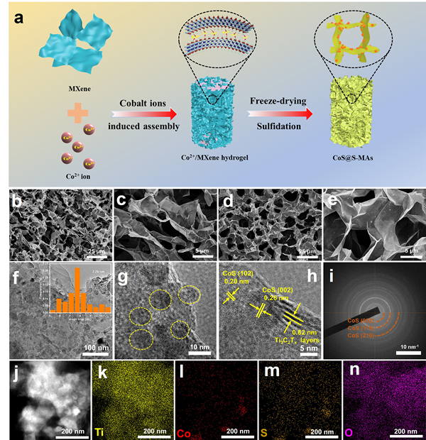 CoS@S-MAs纳米催化剂制备流程图以及电镜表征图 CoS@S-MAs纳米催化剂制备流程图以及电镜表征图