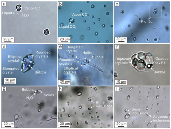 大路槽稀土矿床中不同类型流体包裹体照片