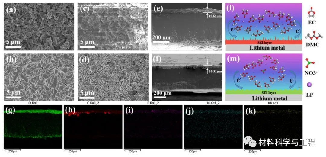 图6 含Rb+添加剂和不含Rb+添加剂的锂金属电池循环后的形貌图 图6 含Rb+添加剂和不含Rb+添加剂的锂金属电池循环后的形貌图