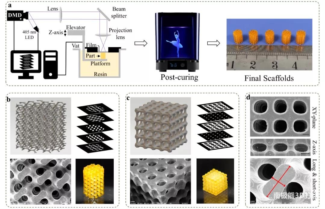 图1 面投影微立体光刻技术快速制备PPF/HPA支架 图1 面投影微立体光刻技术快速制备PPF/HPA支架