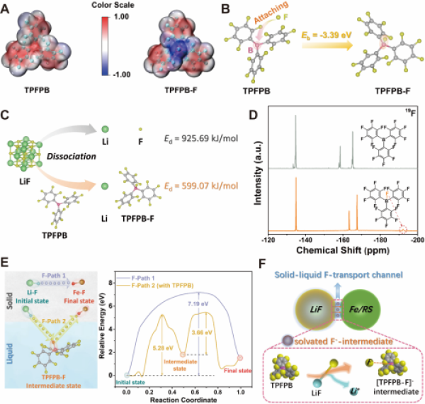 阴离子受体TPFPB辅助构建固液氟通道的表征分析 阴离子受体TPFPB辅助构建固液氟通道的表征分析
