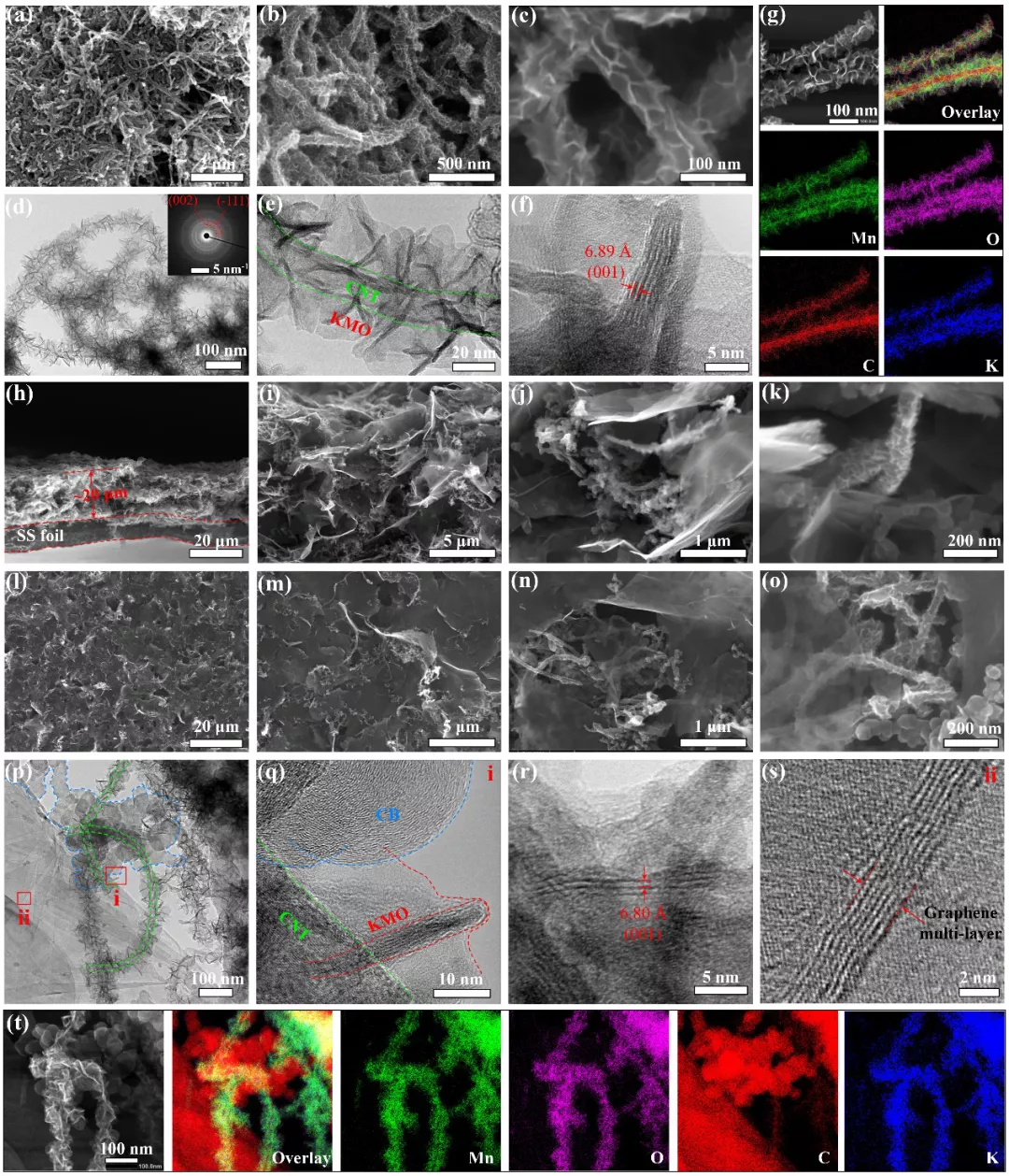 图3. 材料电子显微结构表征