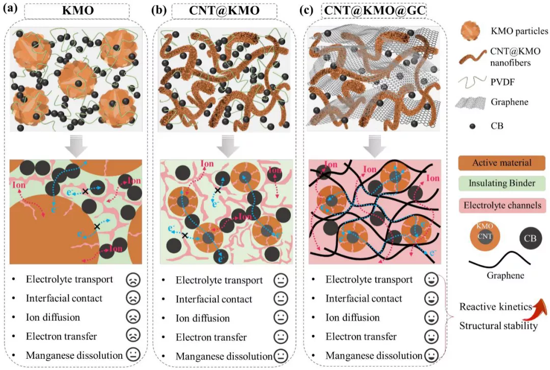 图6. 正极材料内电子传输/离子扩散示意图