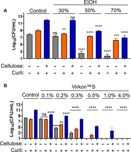 3D 打印生物膜暴露于不同浓度的 (A) 乙醇或 (B) Virkon S 10 分钟后的紧急消毒剂耐受性 3D 打印生物膜暴露于不同浓度的 (A) 乙醇或 (B) Virkon S 10 分钟后的紧急消毒剂耐受性