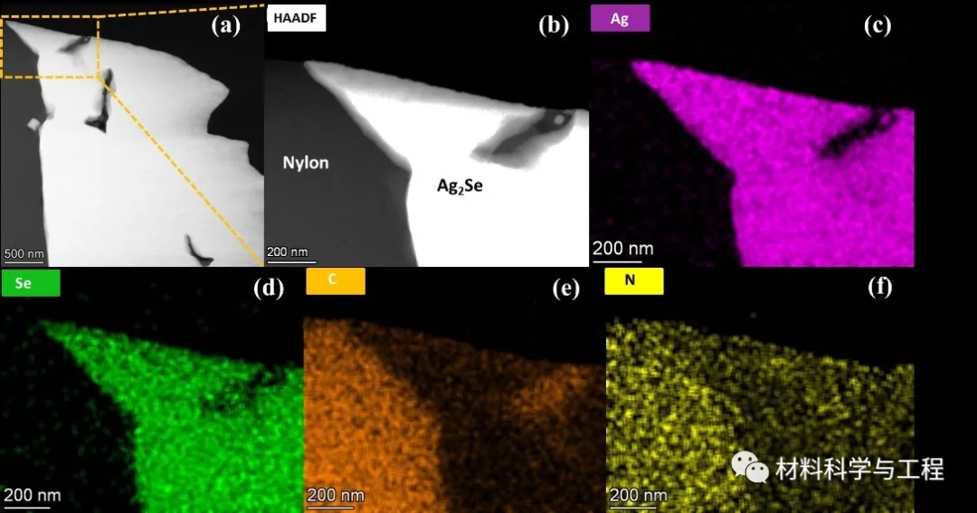 图2 加少量PPy复合膜的内部显微结构