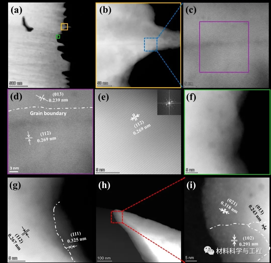 图3 加少量PPy复合膜的内部显微结构