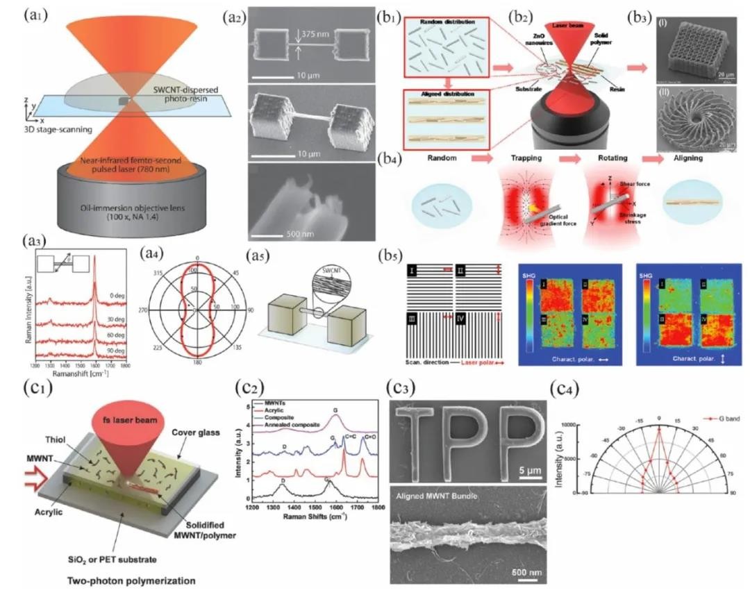 图12为非挤出3D打印中的纳米颗粒取向及对取向度的测量 图12为非挤出3D打印中的纳米颗粒取向及对取向度的测量