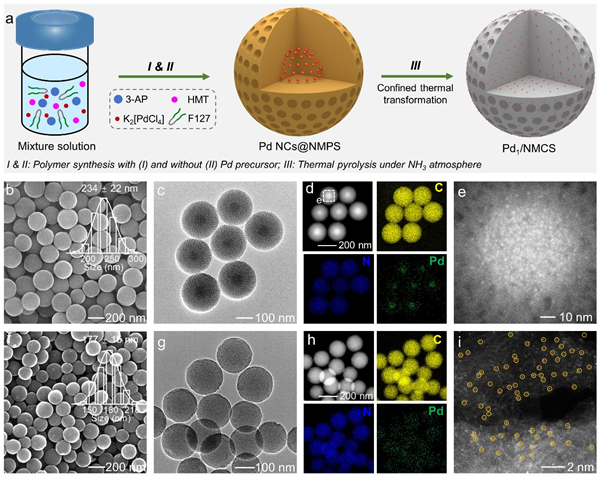 氮掺杂介孔碳球负载Pd单原子催化剂的制备流程图以及电镜表征图