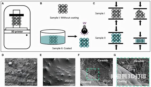 图1. 陶瓷试样/聚合物涂层体系结构陶瓷的制备与形貌研究 图1. 陶瓷试样/聚合物涂层体系结构陶瓷的制备与形貌研究