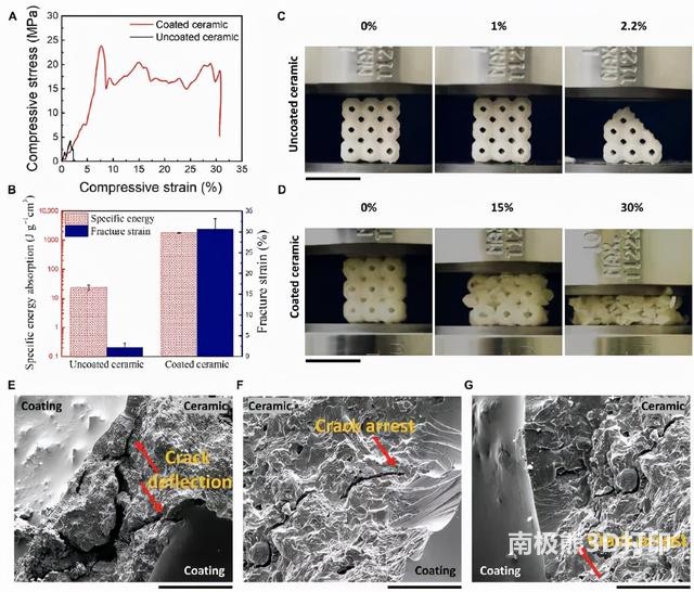 图2. 聚合物涂层对陶瓷抗压强度和变形行为的作用 图2. 聚合物涂层对陶瓷抗压强度和变形行为的作用