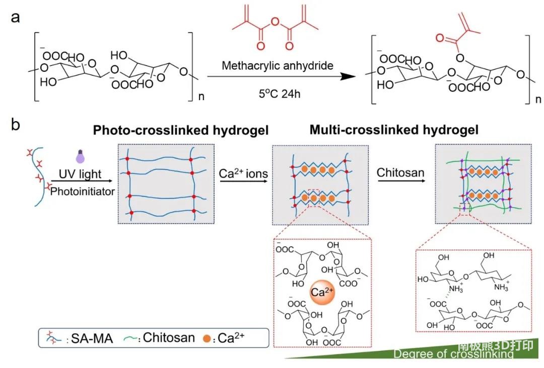 4D打印刺激响应海藻酸钠水凝胶 4D打印刺激响应海藻酸钠水凝胶