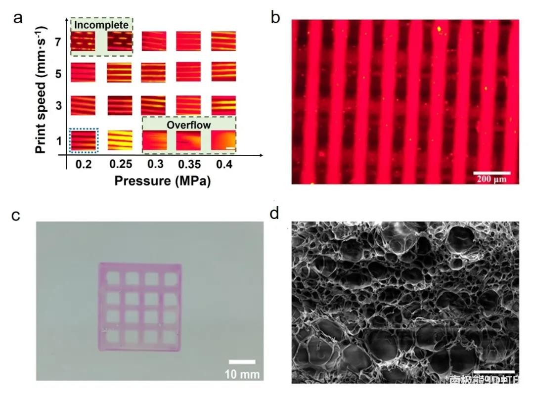 4D打印刺激响应海藻酸钠水凝胶 4D打印刺激响应海藻酸钠水凝胶