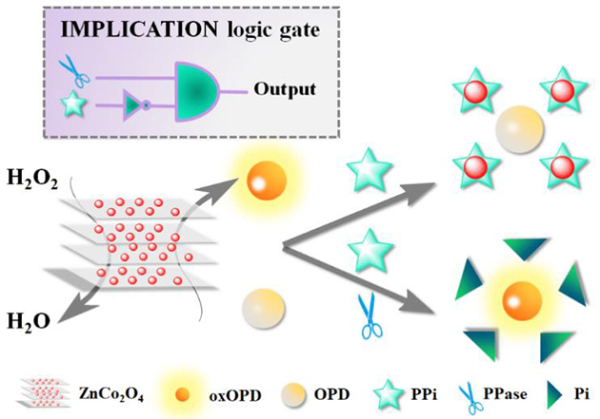 图2.ZnCo2O4纳米片用于PPi和PPase的比色检测 图2.ZnCo2O4纳米片用于PPi和PPase的比色检测
