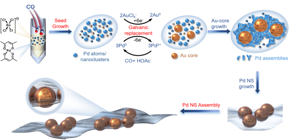 图2.一锅法制备Pd片内嵌Au纳米颗粒复合材料的示意图 图2.一锅法制备Pd片内嵌Au纳米颗粒复合材料的示意图