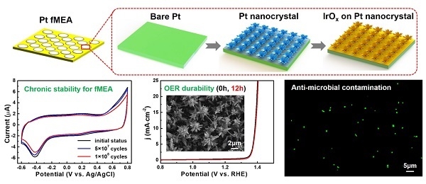 氧化铱/铂纳米枝晶电极修饰流程示意图及其分别用于神经电极、水氧化和抗生物污染方面的性能表征