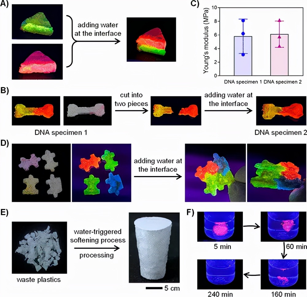 图 4. 可持续 DNA 塑料的愈合和焊接以使用水形成 3D 架构