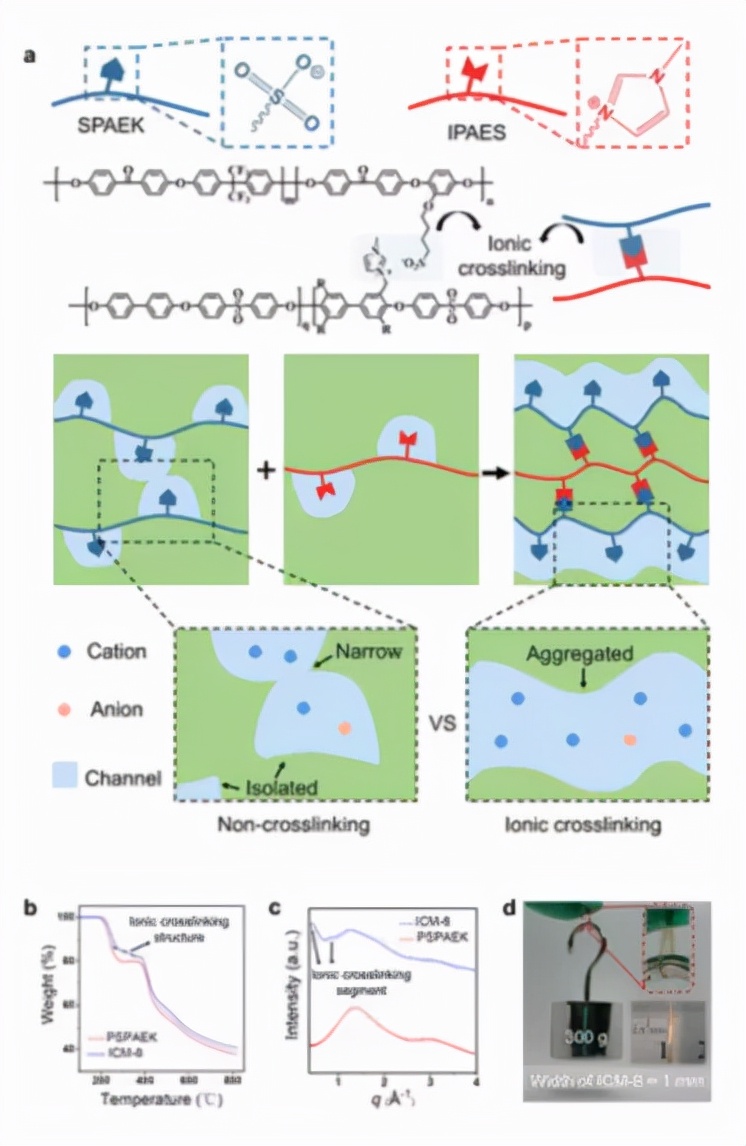 图1. ICM结构示意图 图1. ICM结构示意图