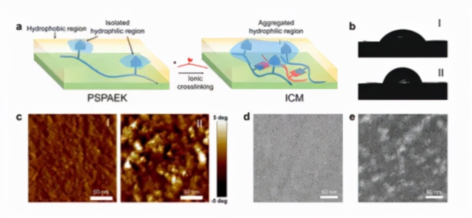 图2. ICM微观结构表征 图2. ICM微观结构表征
