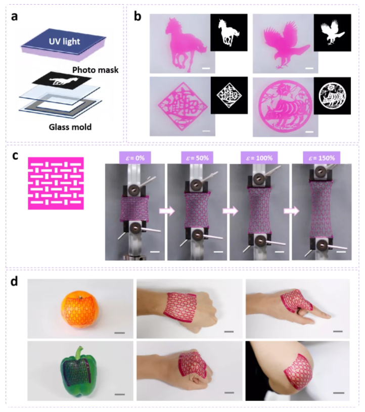 图2. 通过光刻法制备含有图案化结构的水凝胶薄膜及其对复杂曲面的贴附性