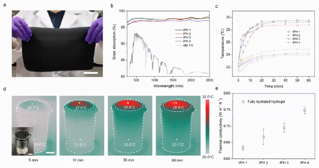 图 3. IPH 蒸发器的太阳能吸收和热量管理