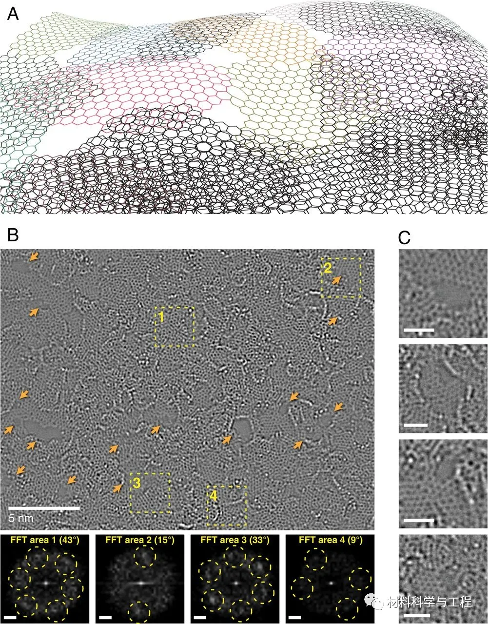 图1 PNG薄膜的纳米结构