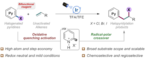 芳基卤代物与烯烃的交叉偶联 芳基卤代物与烯烃的交叉偶联