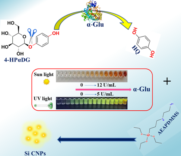 荧光硅纳米粒子比色-荧光双信号输出α-糖苷酶分析示意图