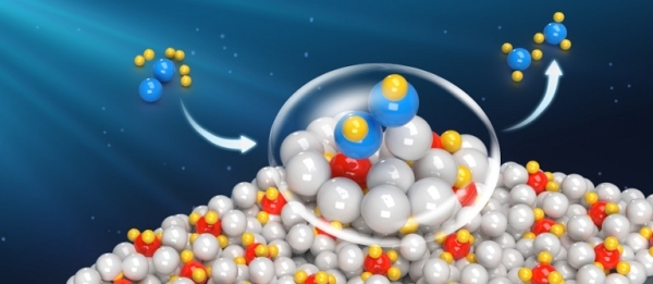 富电子、多组分协同催化