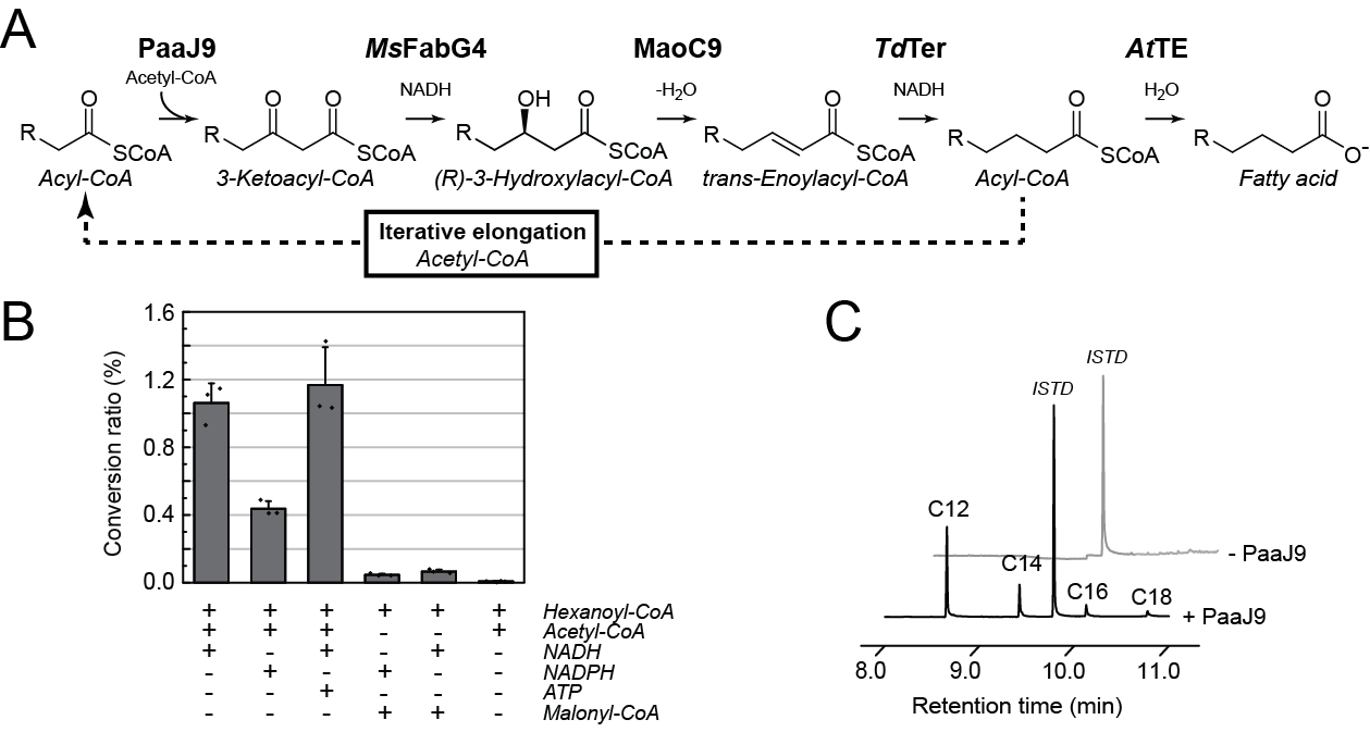 科学家运用细胞与异相催化串联实现可再生烯烃合成