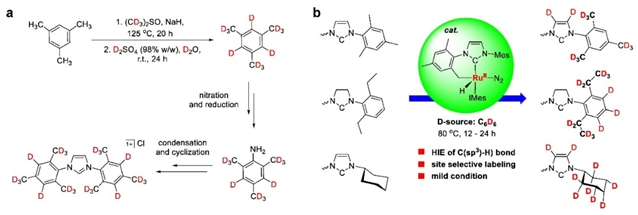 中科院上海有机所实现氘代氮杂环卡宾的催化合成 中科院上海有机所实现氘代氮杂环卡宾的催化合成