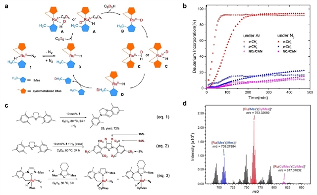 图4:反应机理以及支持证据 图4:反应机理以及支持证据