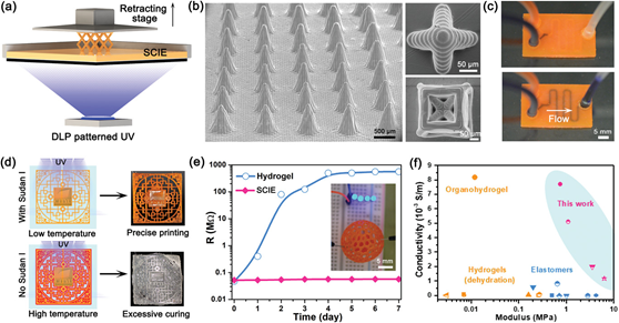 图2 3D打印模块的表征 图2 3D打印模块的表征