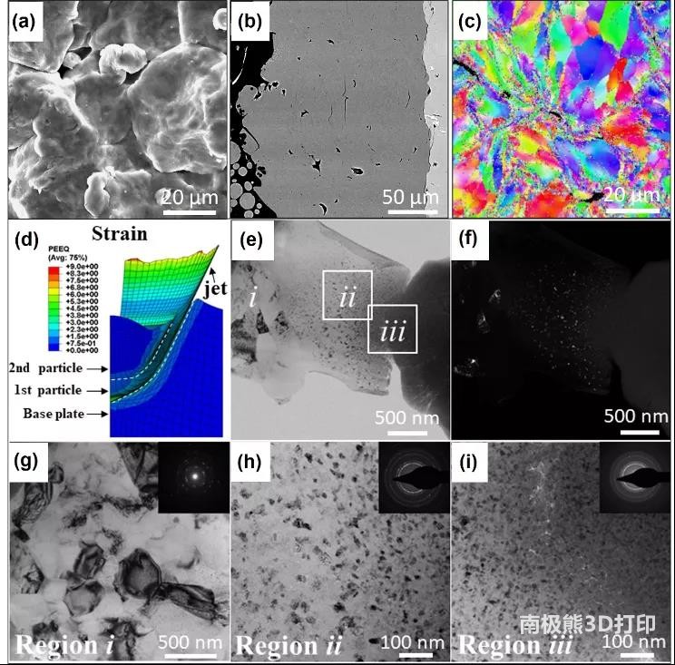 图4. 冷喷涂铝的SEM图像