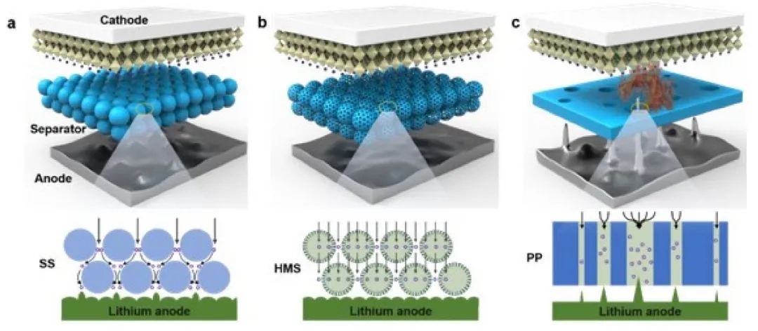 图4 不同隔膜的离子传输和锂沉积行为示意图 图4 不同隔膜的离子传输和锂沉积行为示意图