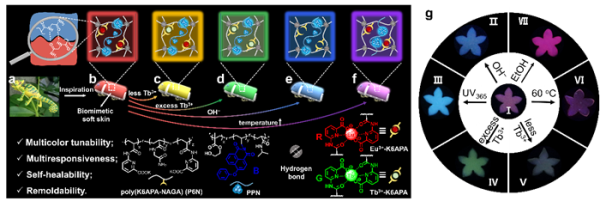 1637743063943068.png 高分子水凝胶的结构设计示意图和多重刺激响应荧光变色图.png