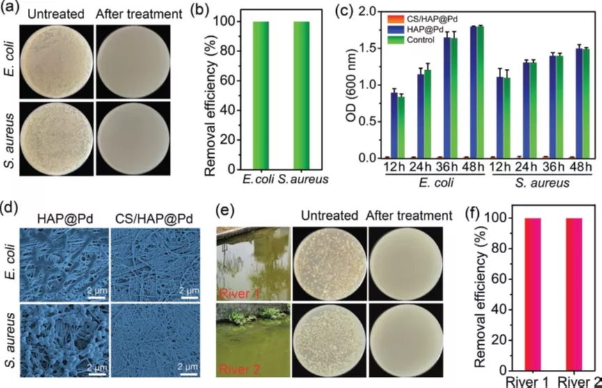 图5. 具有有序排列垂直孔道结构CS/HAP@Pd多功能仿生气凝胶在重力驱动下高效过滤去除细菌及其抗生物污染性能 图5. 具有有序排列垂直孔道结构CS/HAP@Pd多功能仿生气凝胶在重力驱动下高效过滤去除细菌及其抗生物污染性能