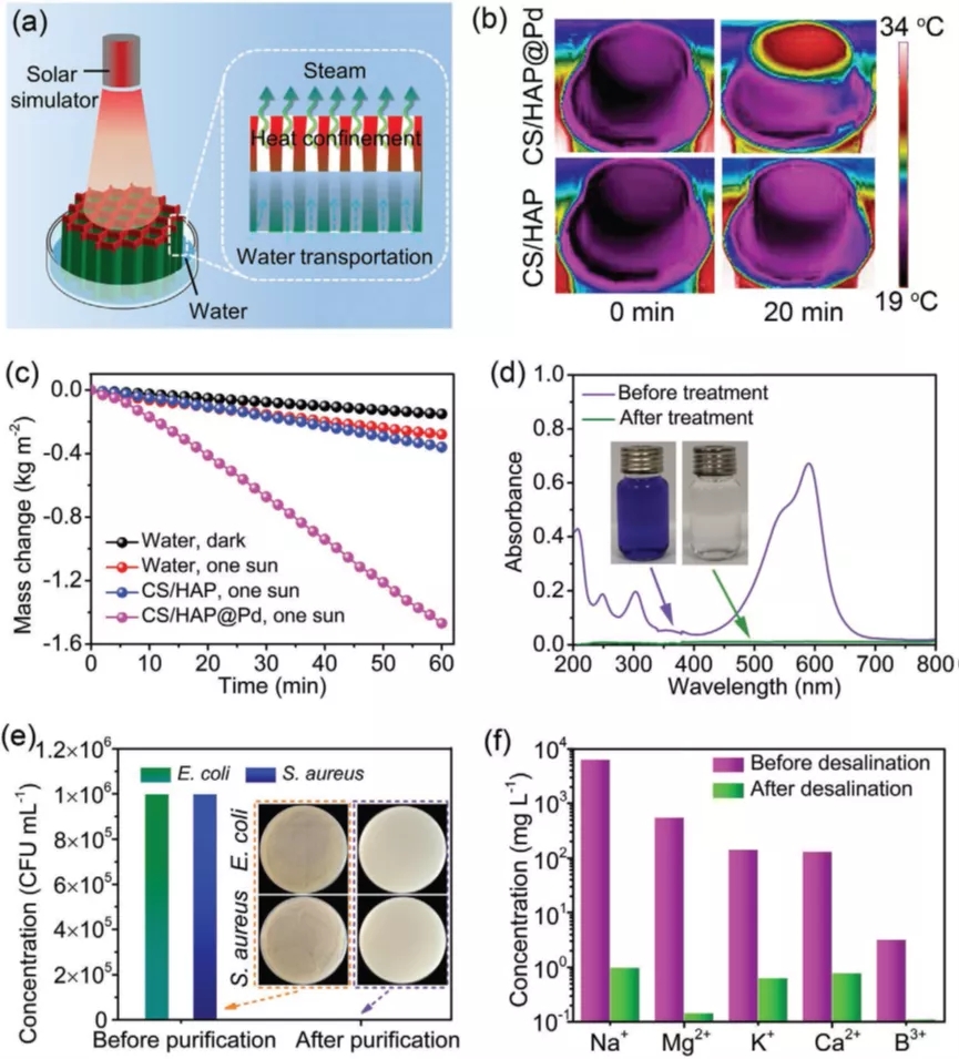 图6. 具有有序排列垂直孔道结构CS/HAP@Pd多功能仿生气凝胶在1 kW/m2光功率密度的模拟太阳光照条件下的水蒸发、水净化和真实海水淡化性能 图6. 具有有序排列垂直孔道结构CS/HAP@Pd多功能仿生气凝胶在1 kW/m2光功率密度的模拟太阳光照条件下的水蒸发、水净化和真实海水淡化性能