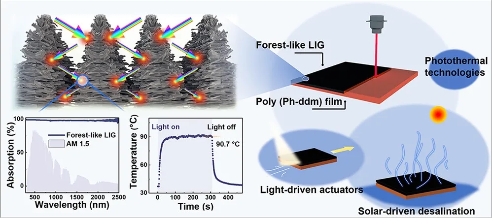 一种具有超高太阳能利用效率的森林状激光诱导的石墨烯薄膜