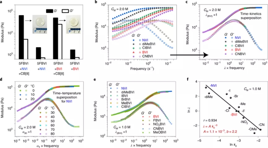 图2 SPN的流变学表征