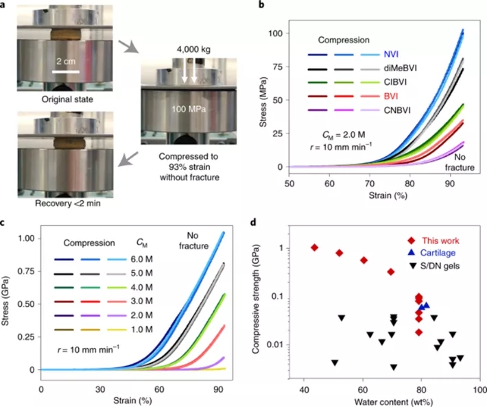 图3 SPN的压缩性能
